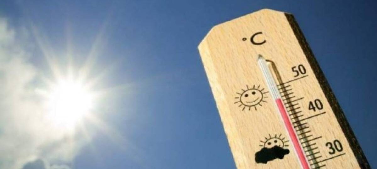 Cambio climático duplica las horas de ‘calor limitante para la vida’ - Noticias de Actualidad de México y el Mundo -