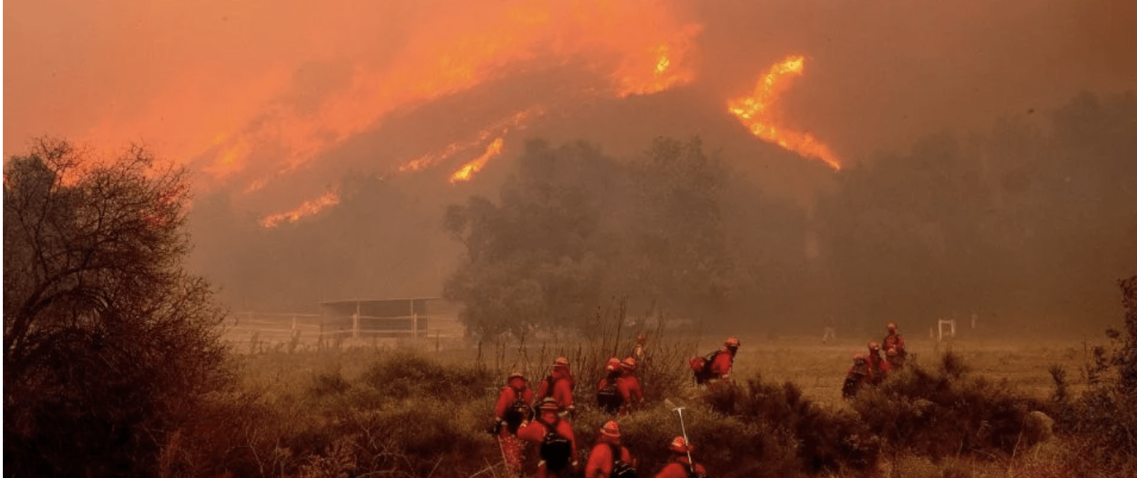 Noticias de Actualidad de México y el Mundo -