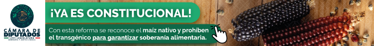 https://analisisnoticiasonline.com/wp-content/uploads/2025/05/BANNER.png