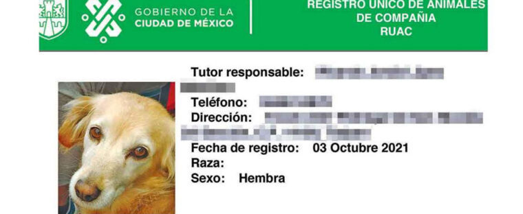 Noticias de Actualidad de México y el Mundo -