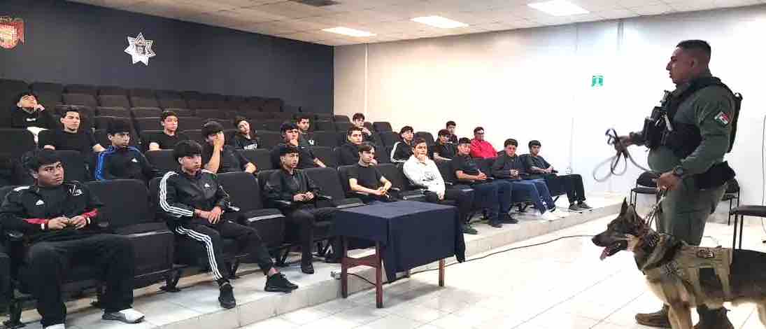 Noticias de Actualidad de México y el Mundo -