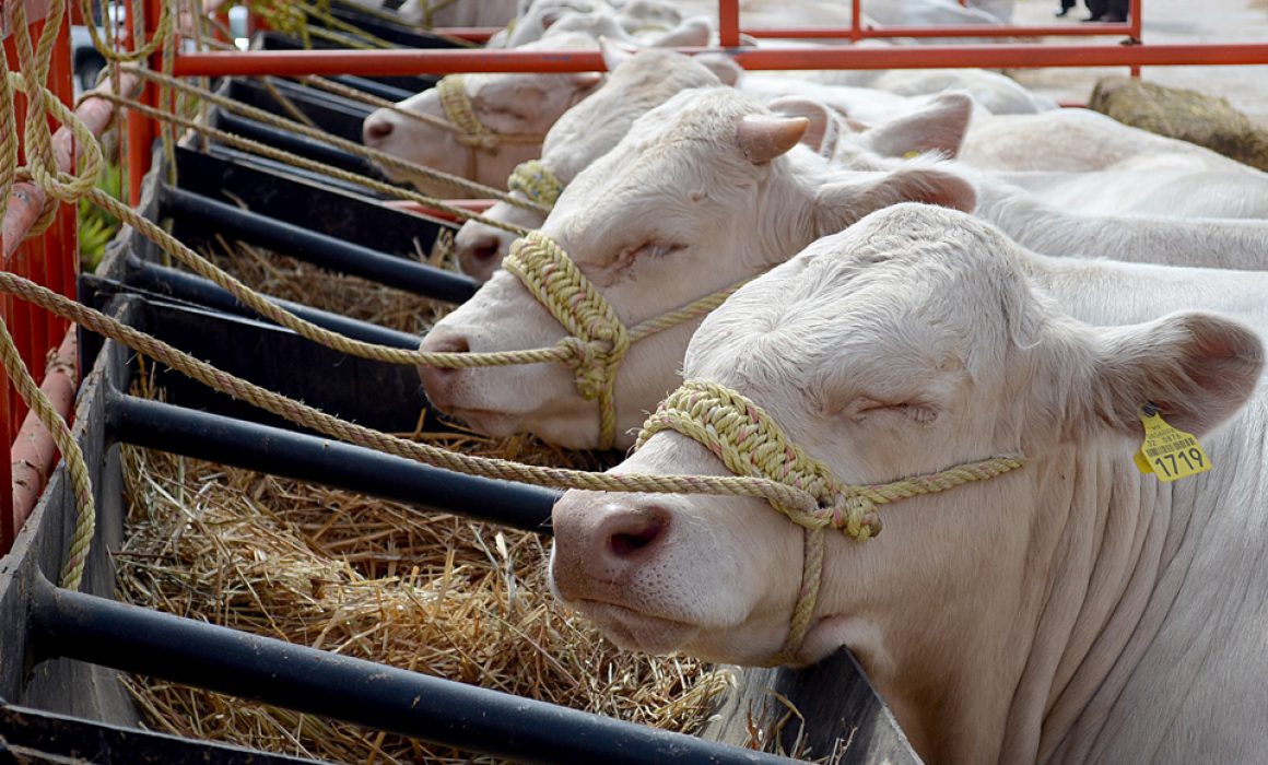 Noticias de Actualidad de México y el Mundo -