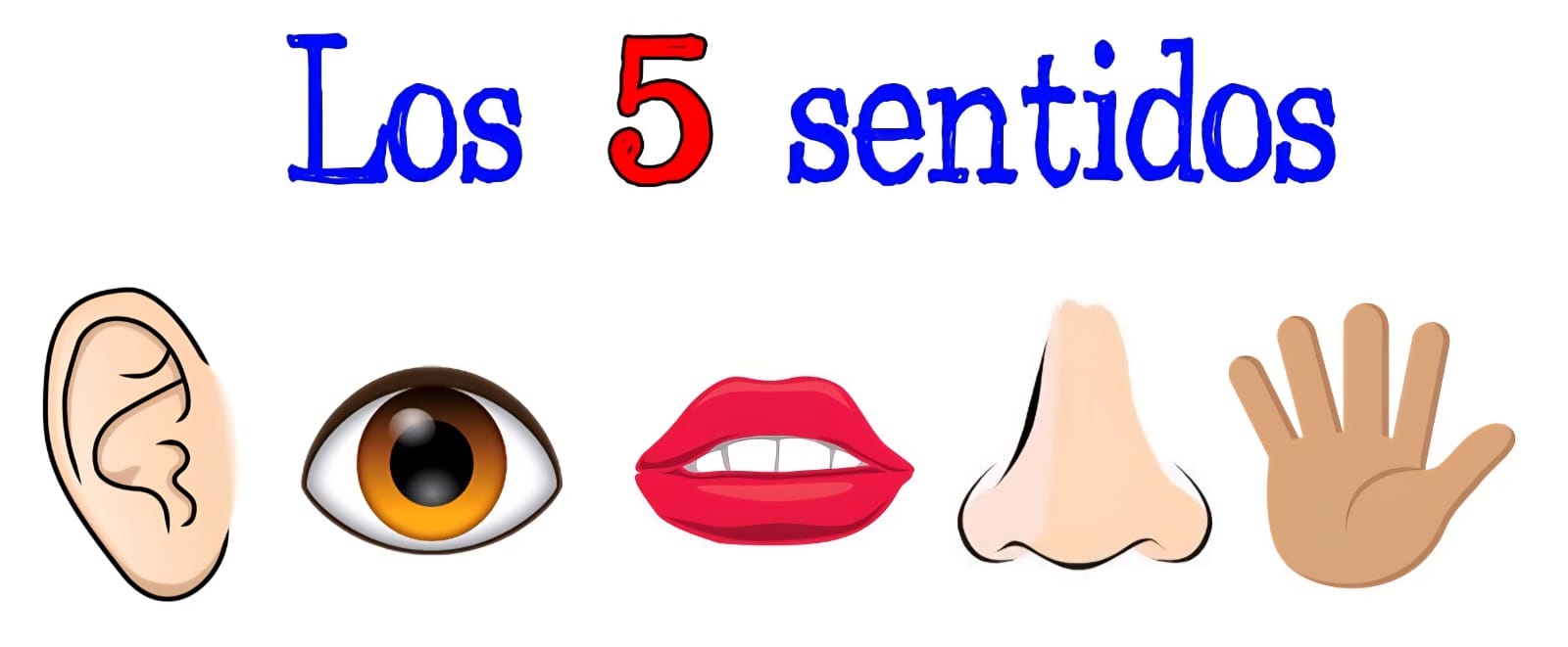 Noticias de Actualidad de México y el Mundo -