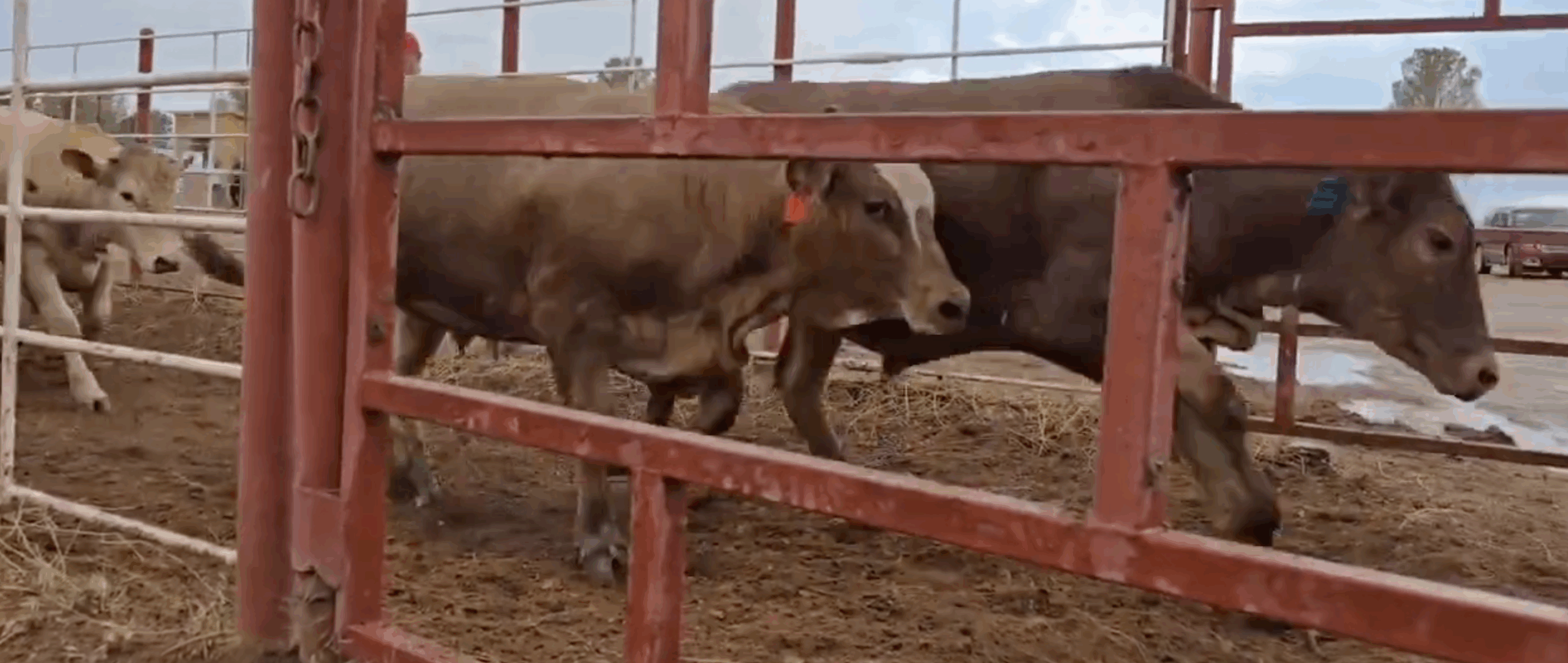 Noticias de Actualidad de México y el Mundo -