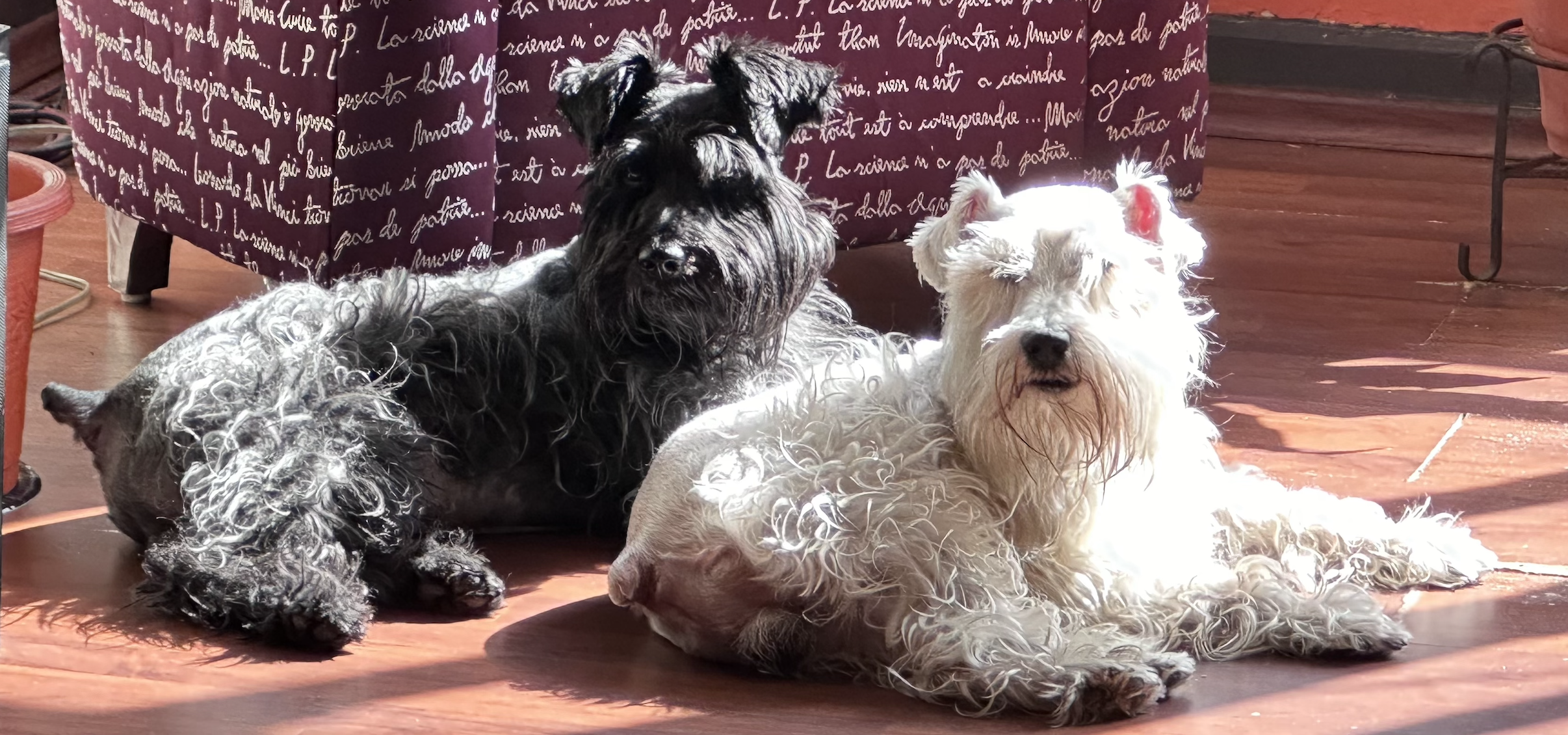 Noticias de Actualidad de México y el Mundo -