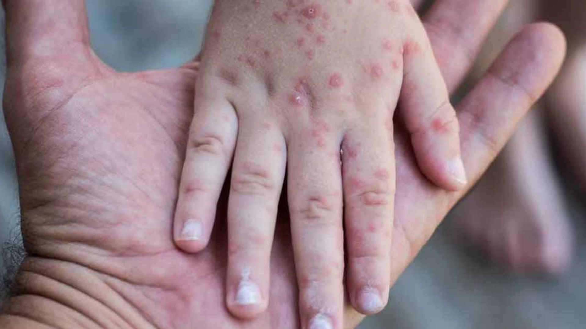 Noticias de Actualidad de México y el Mundo -