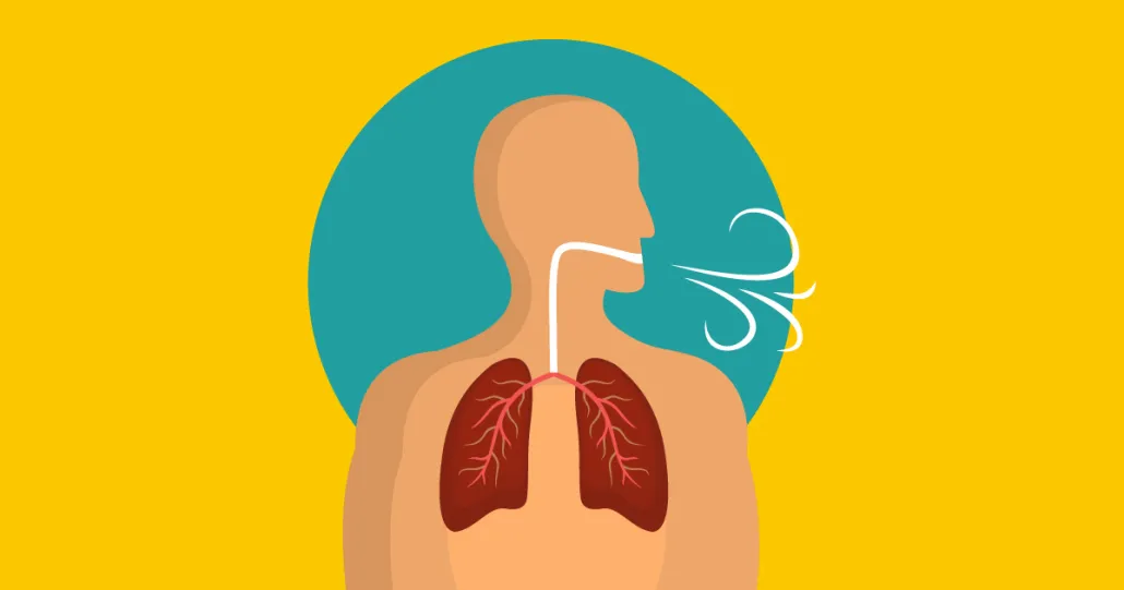 Noticias de Actualidad de México y el Mundo -