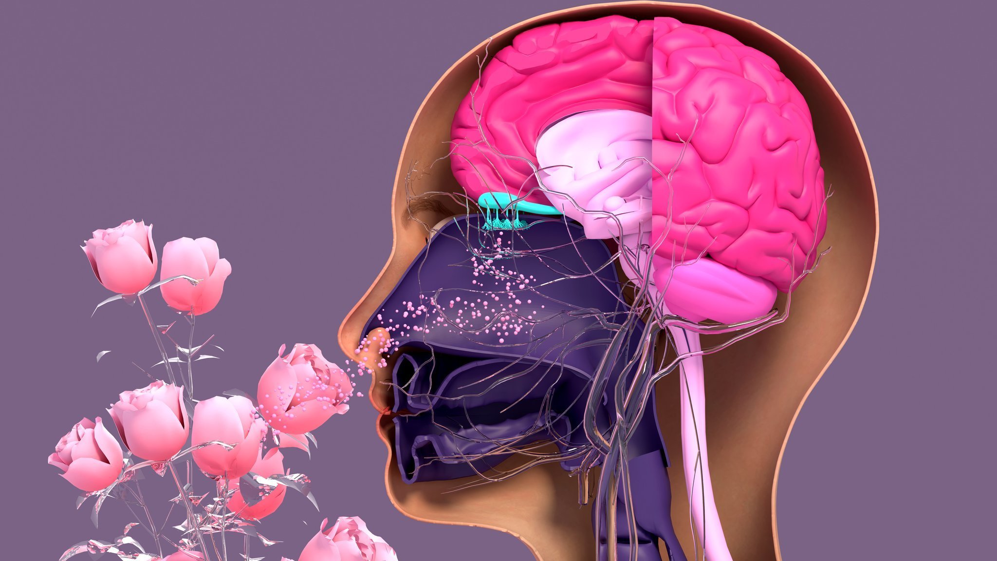 Noticias de Actualidad de México y el Mundo -