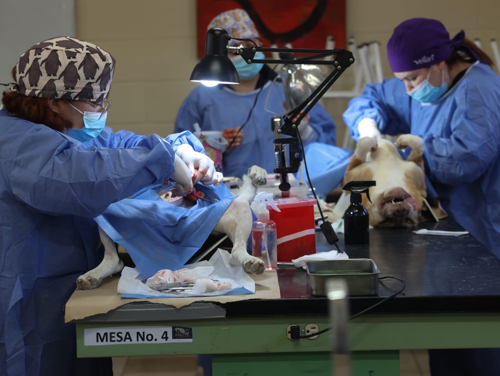 Noticias de Actualidad de México y el Mundo -