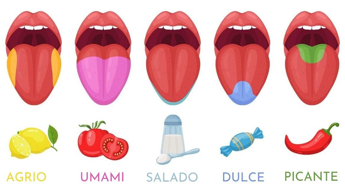 Noticias de Actualidad de México y el Mundo -