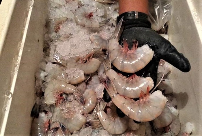 Noticias de Actualidad de México y el Mundo -