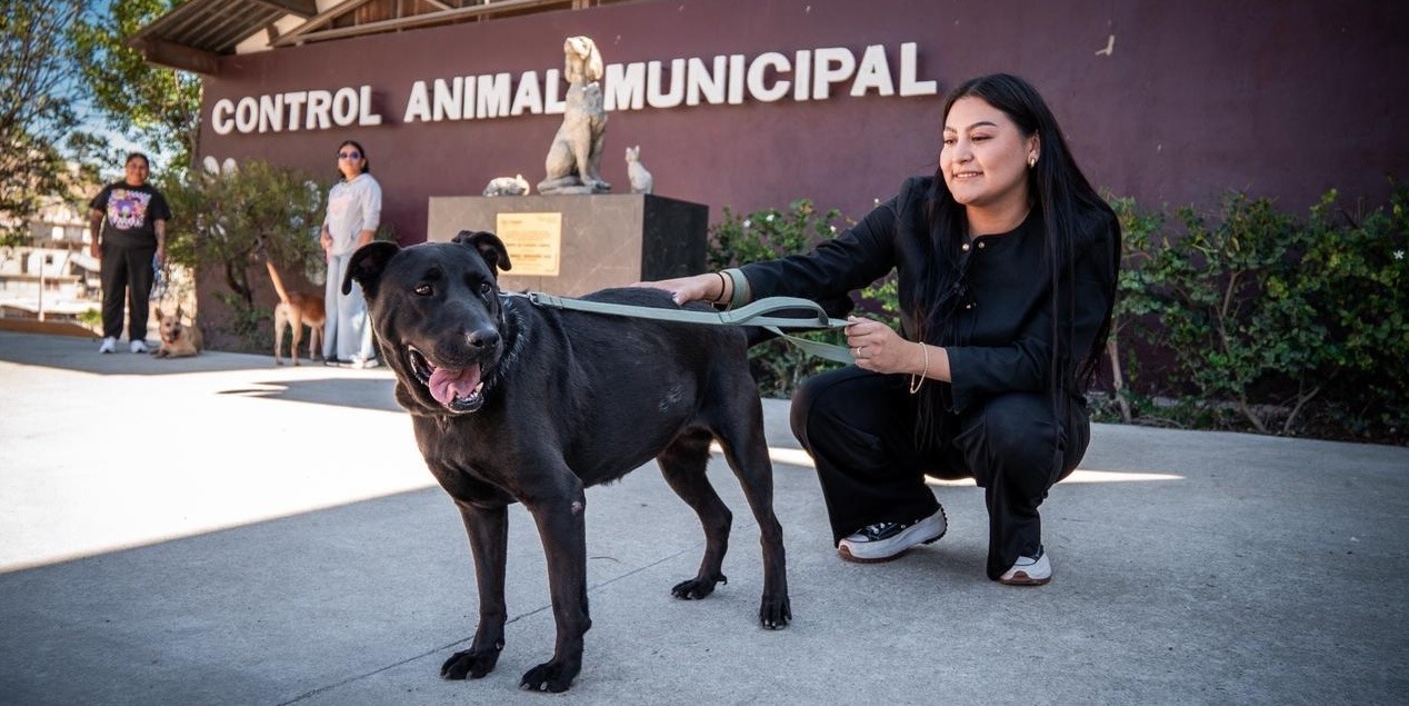 Noticias de Actualidad de México y el Mundo -