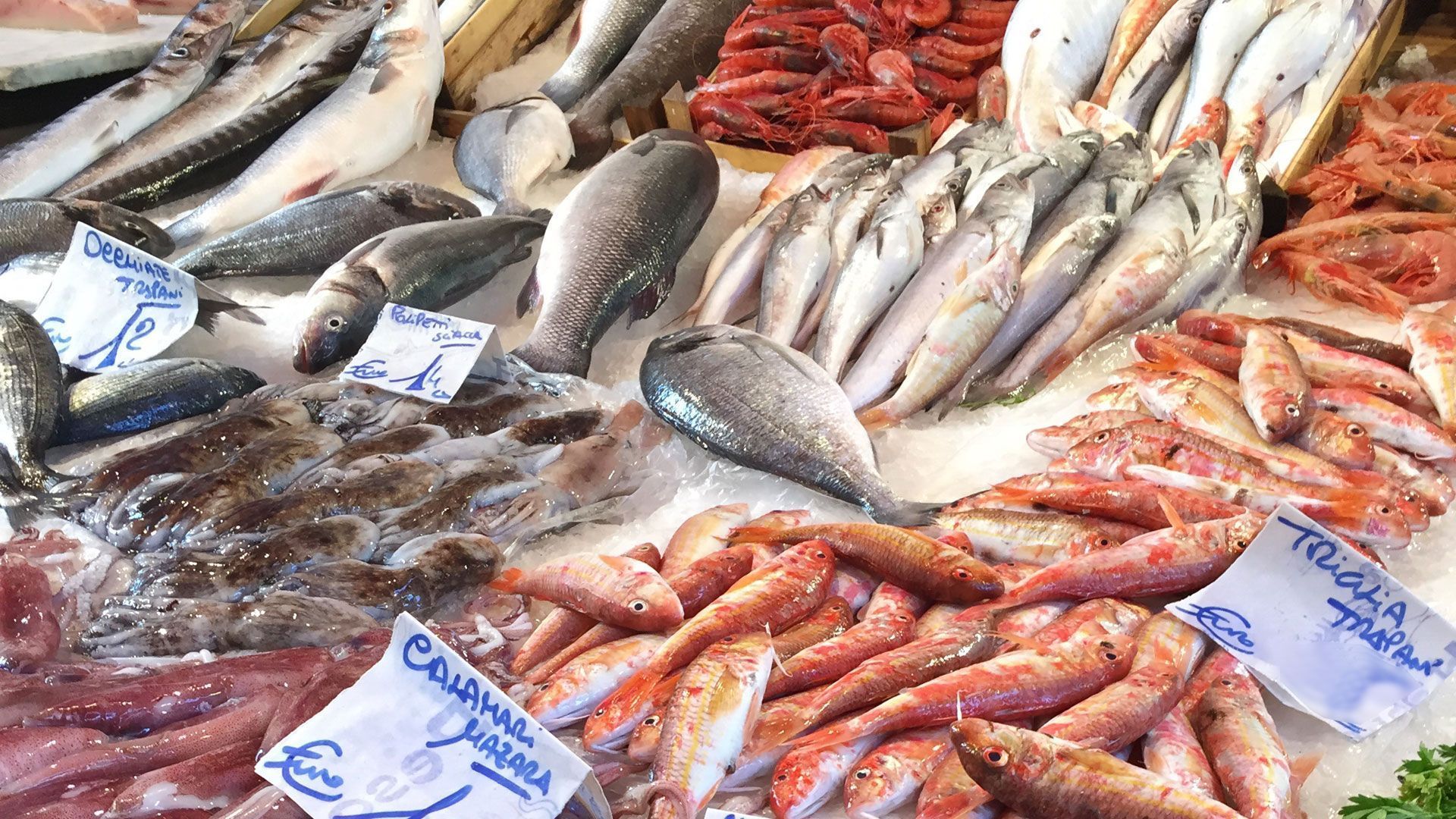 Noticias de Actualidad de México y el Mundo -