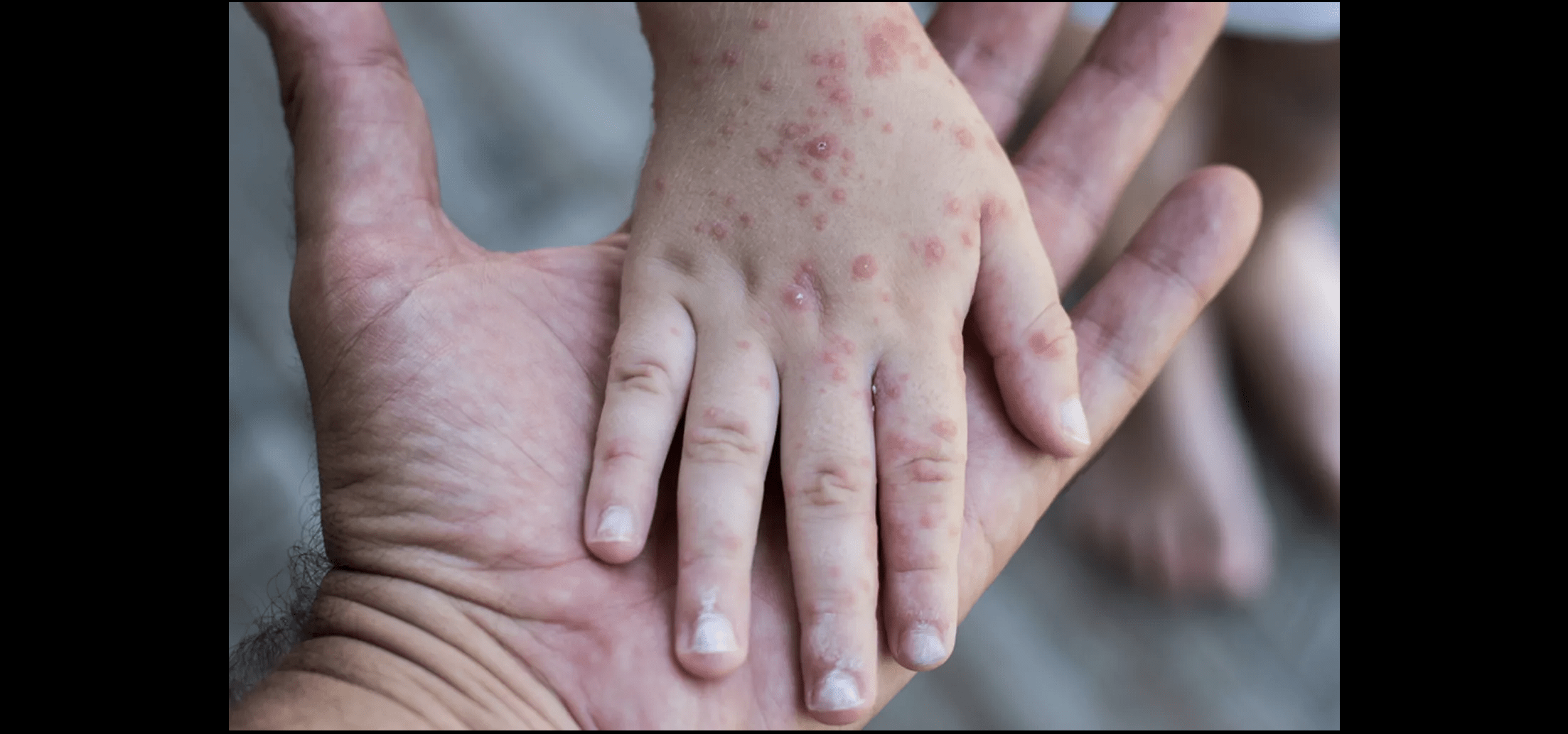 Noticias de Actualidad de México y el Mundo -