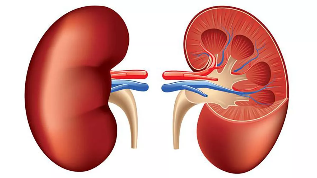 Noticias de Actualidad de México y el Mundo -