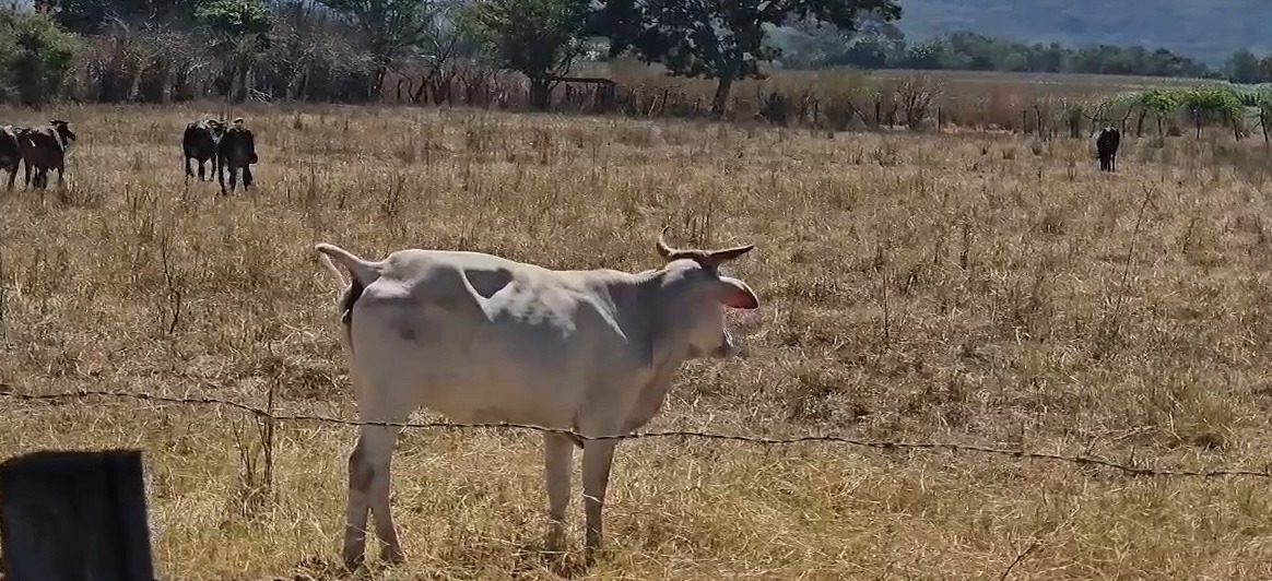 Noticias de Actualidad de México y el Mundo -