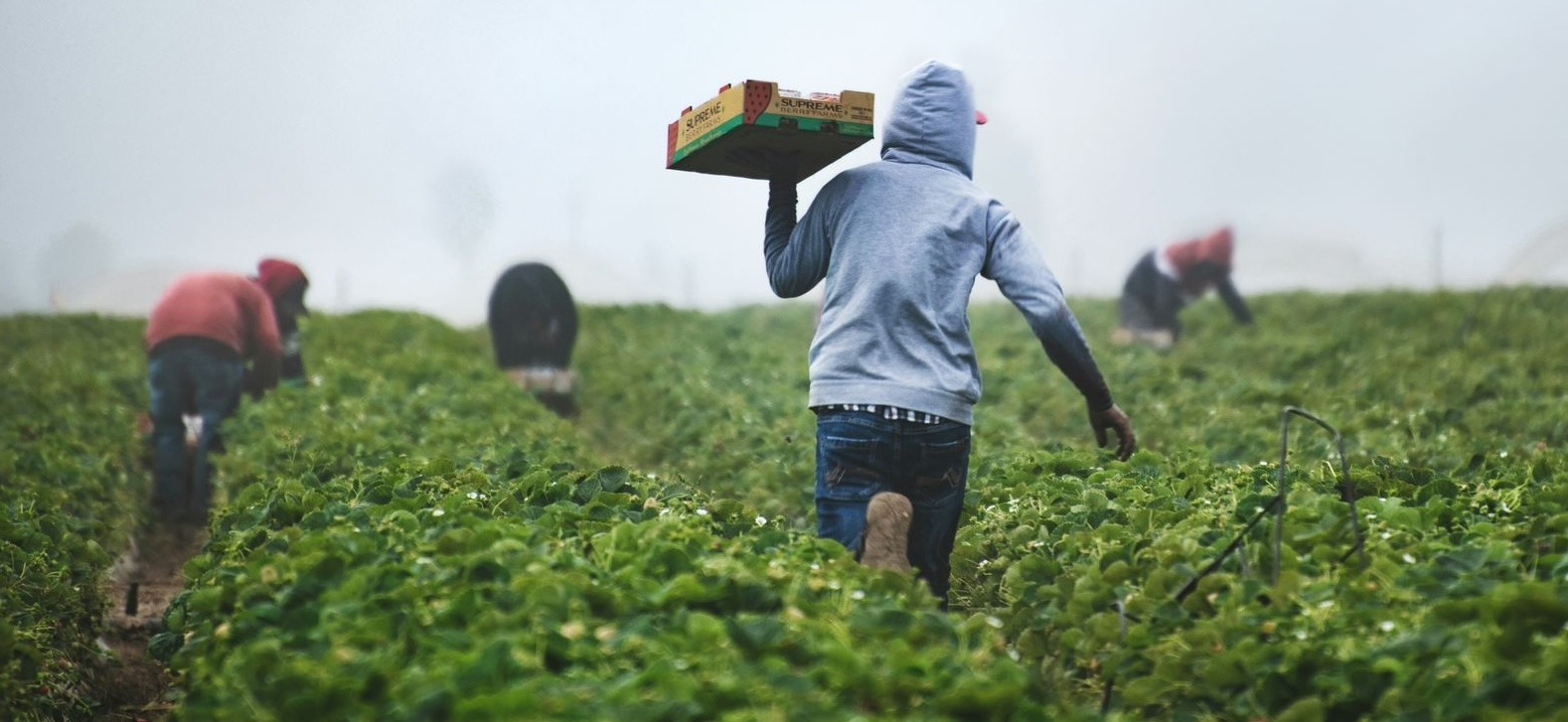 Noticias de Actualidad de México y el Mundo -