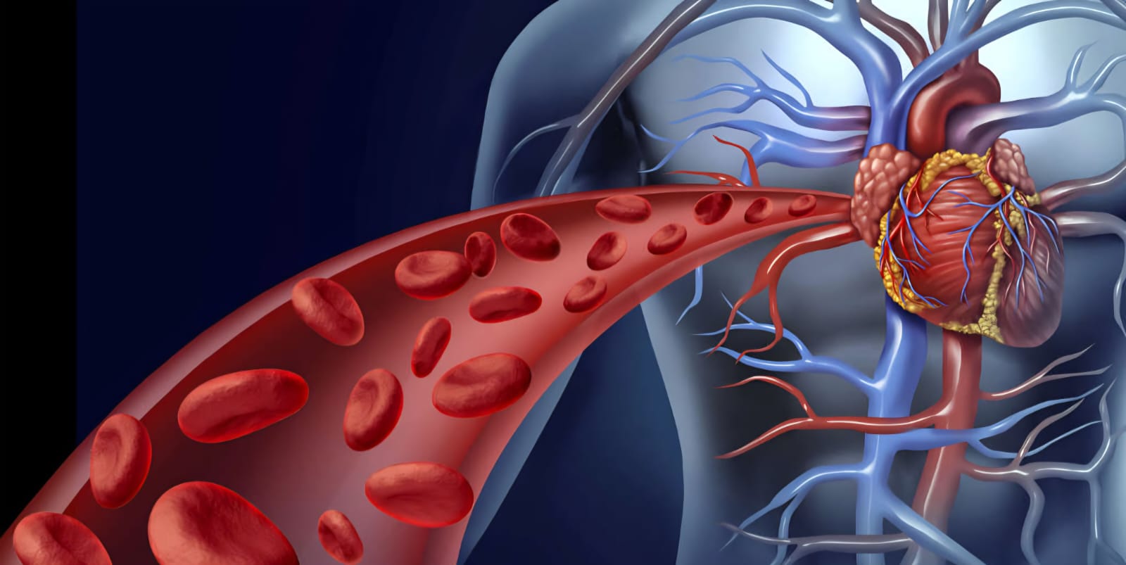 Noticias de Actualidad de México y el Mundo -