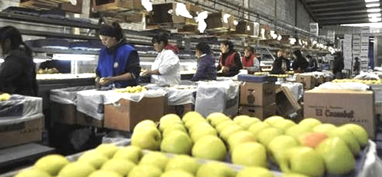 Noticias de Actualidad de México y el Mundo -