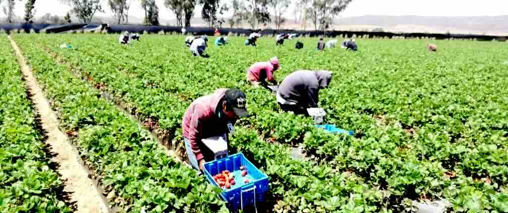 Noticias de Actualidad de México y el Mundo -