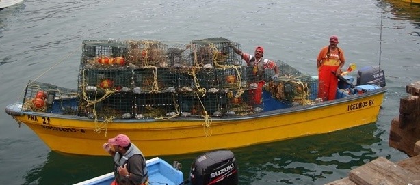 Noticias de Actualidad de México y el Mundo -