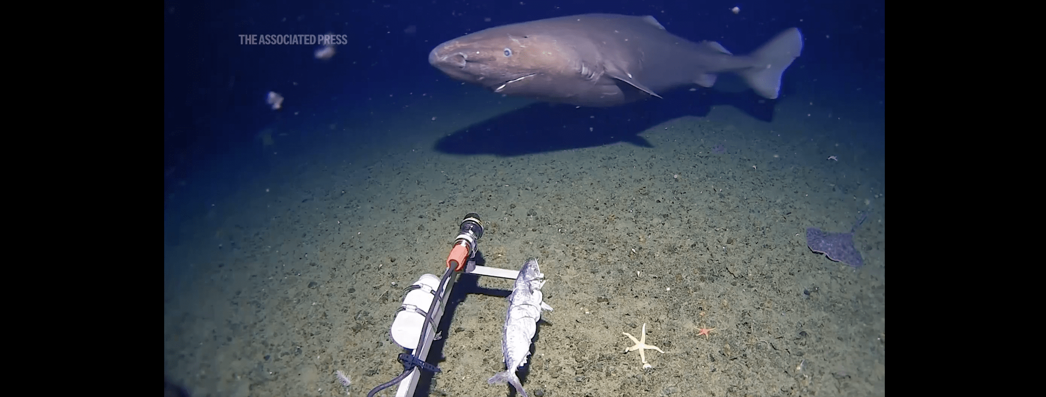 Noticias de Actualidad de México y el Mundo -