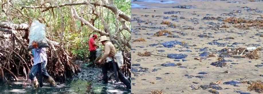 Noticias de Actualidad de México y el Mundo -