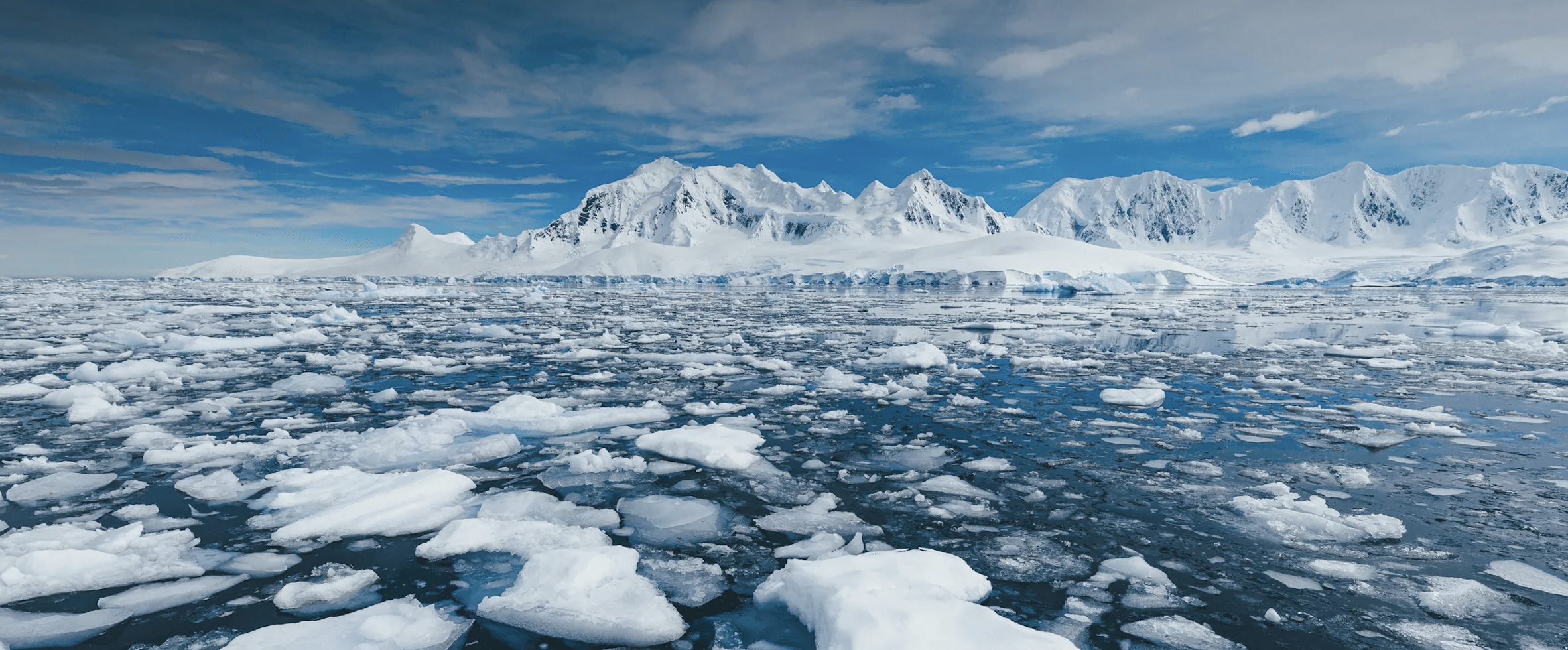 Noticias de Actualidad de México y el Mundo -