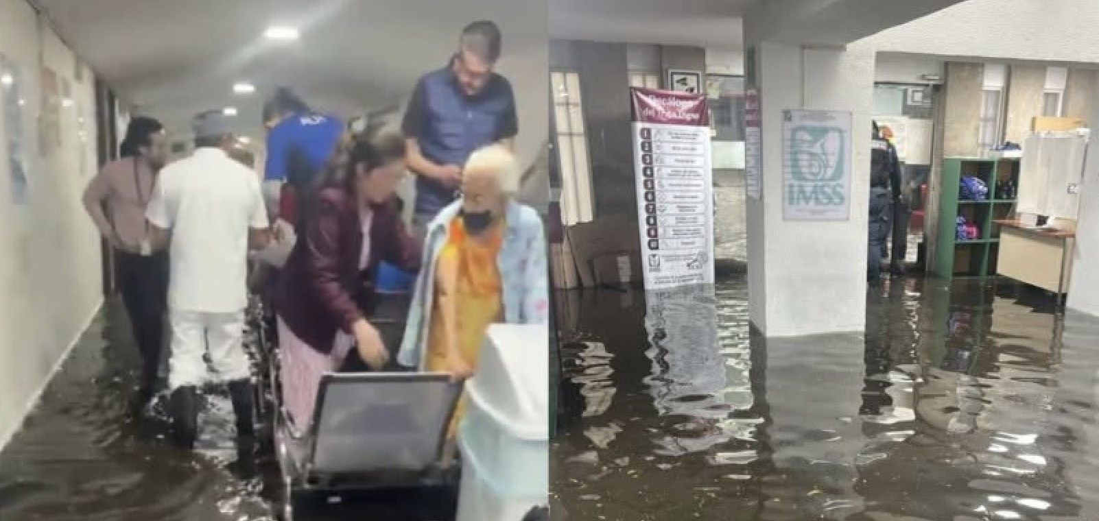 Noticias de Actualidad de México y el Mundo -