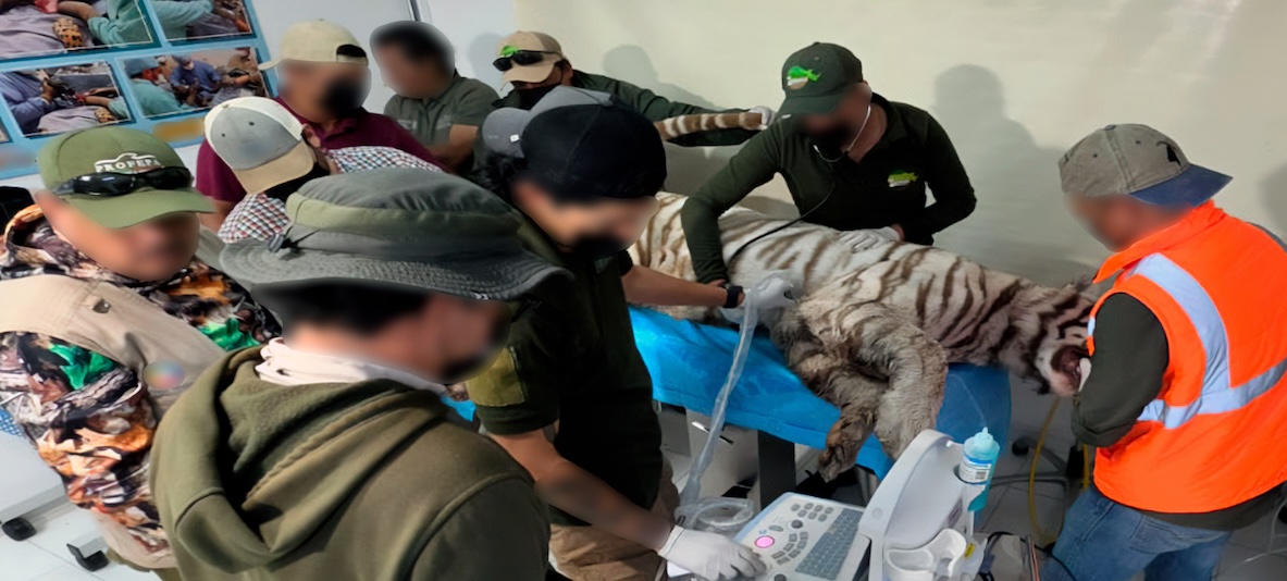Noticias de Actualidad de México y el Mundo -