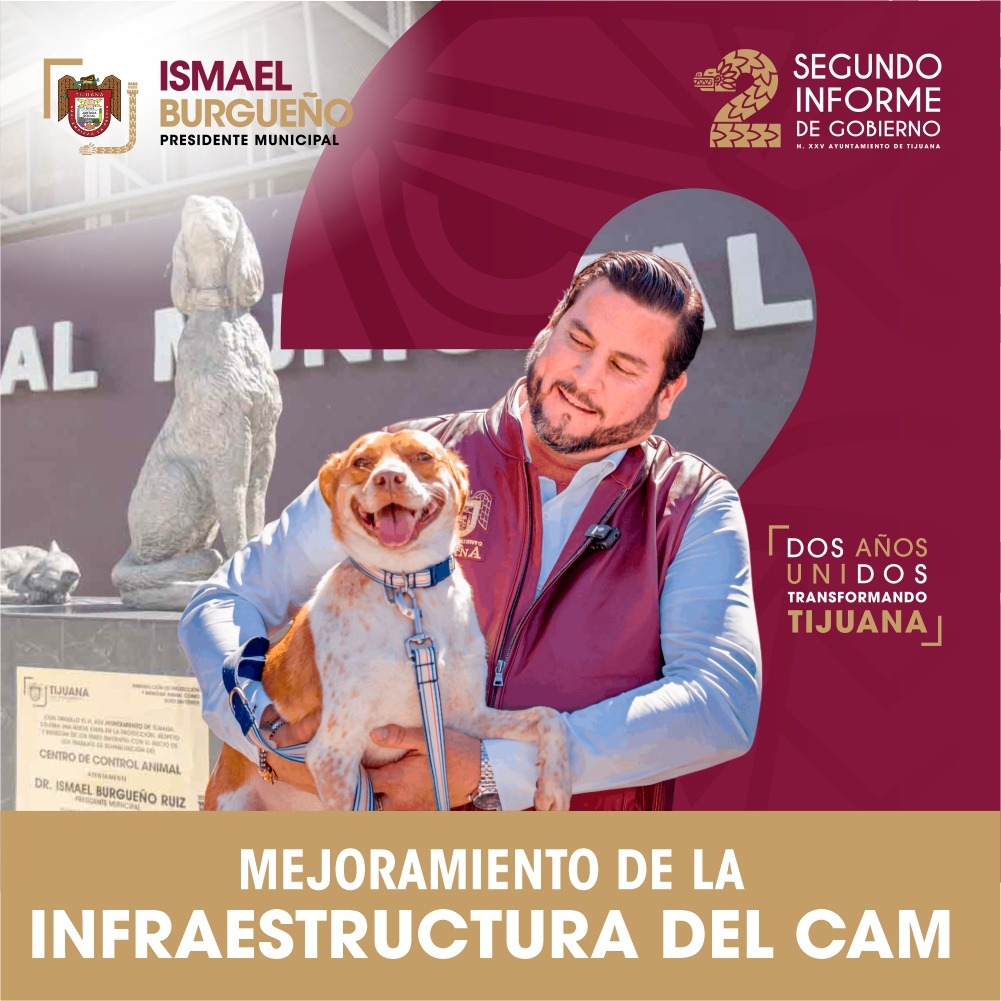 https://analisisnoticiasonline.com/wp-content/uploads/2026/10/600-fb-PERROS.jpg-1.jpeg